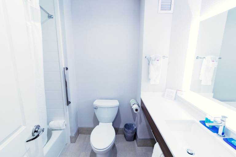 Bathroom 3, Holiday Inn Express Hotel & Suites Crestview by IHG, Okaloosa