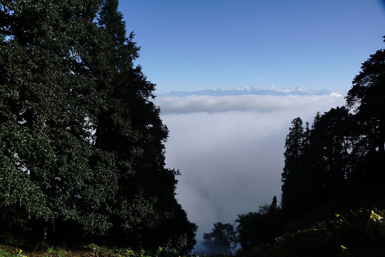 Others 5, Agyaat Vaas, Shimla