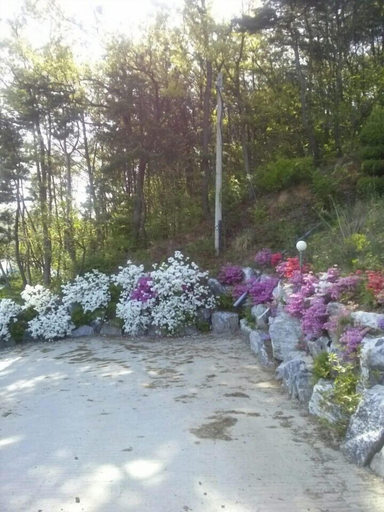 Others 2, Sunshine Garden Pension, Ongjin