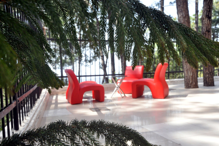 Others 5, Hotel Bliss, Solan
