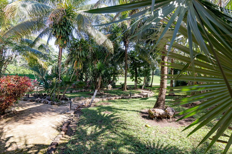 Others 5, Pakal by CocoBR, Cozumel