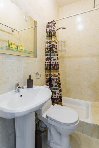 Bathroom, Room N7, Sankt-Peterburg gorsovet