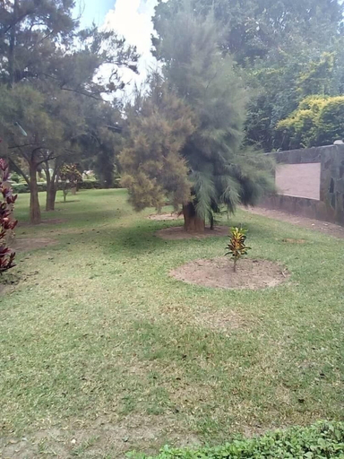 Others 3, Broken Hill Lodge, Kabwe