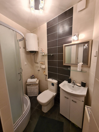 Bathroom, Nikolajevska, Novi Sad