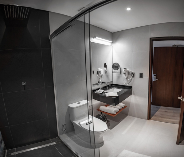Bathroom 4, Mitru Express, Pedro Domingo Murillo