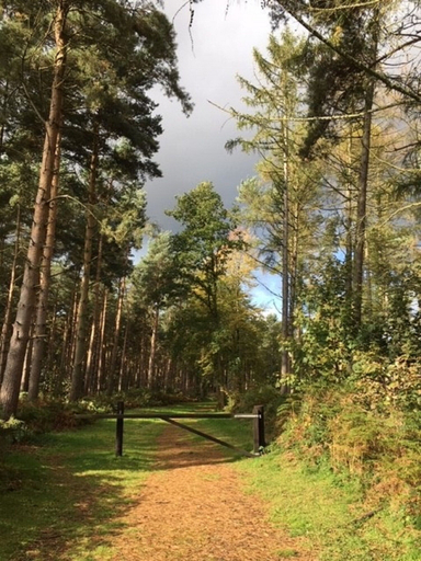 Others 5, Hollicarrs - Stag Lodge, North Yorkshire