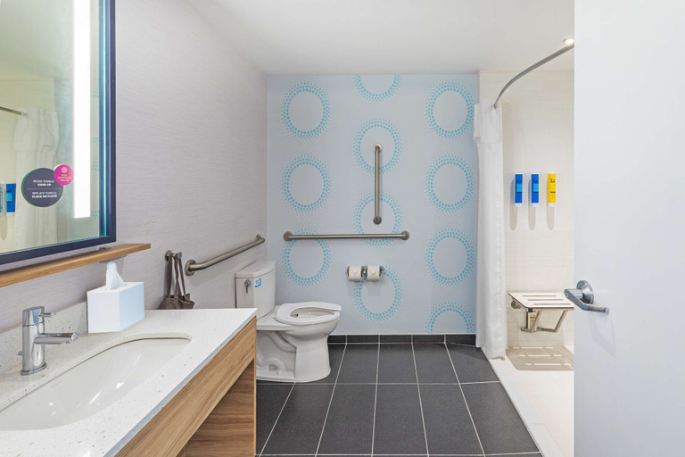 Bathroom 4, Tru by Hilton Laredo Airport, Webb