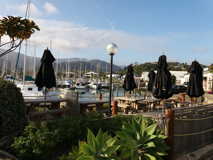 Food & Drinks 5, Harbourside Lodge, Nelson
