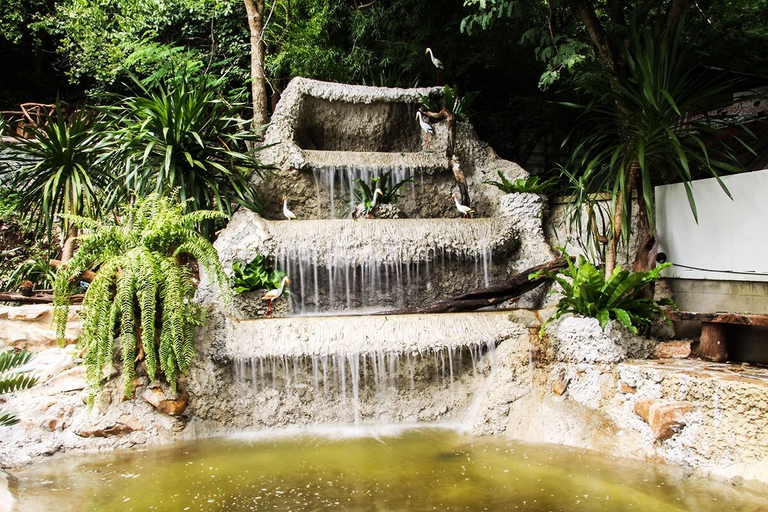Others 5, Rao Ga Khao Resort, Pak Chong