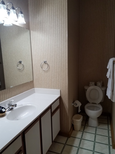 Bathroom 3, Creekside Village, Shenandoah