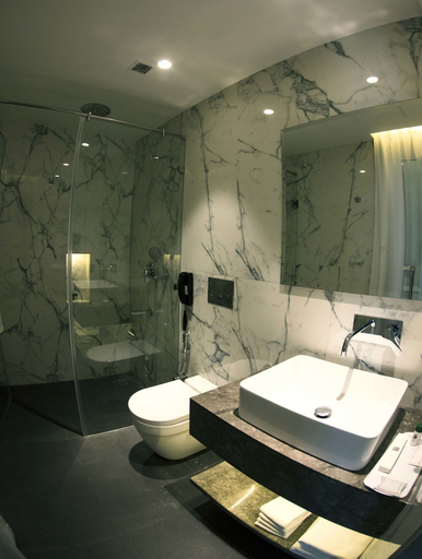 Bathroom 4, Connaught Royale, Delhi