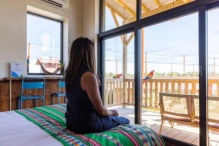 Bedroom 3, Les Lodges - Parrot World, Seine-et-Marne