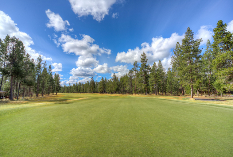 Others 5, Shadow Lane 1, Deschutes
