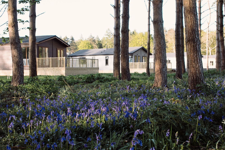 Exterior & Views 2, Hollicarrs - Wildflower Lodge, North Yorkshire