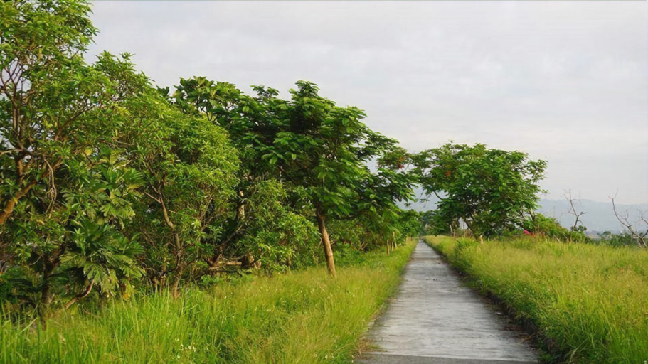 Others 5, Billing Manor, Taitung