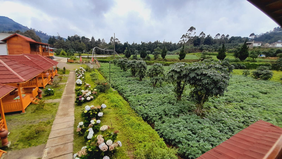 Others 4, Fifa Cabin Dieng by Fifa Grup, Wonosobo