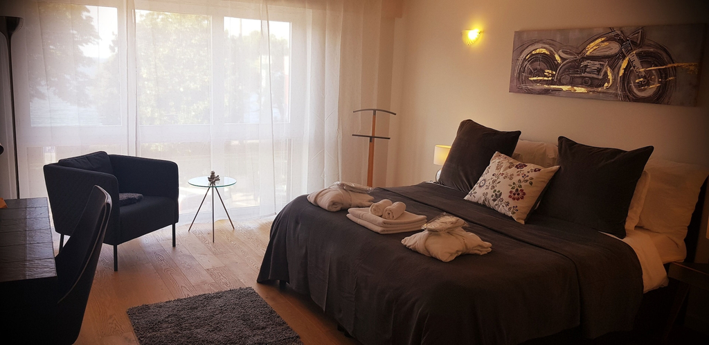 Room 3, citycentre lake view apartment, Pays-d'Enhaut