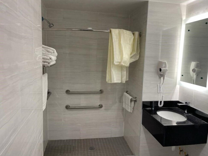 Bathroom 3, Royal Hotel Bronx, New York