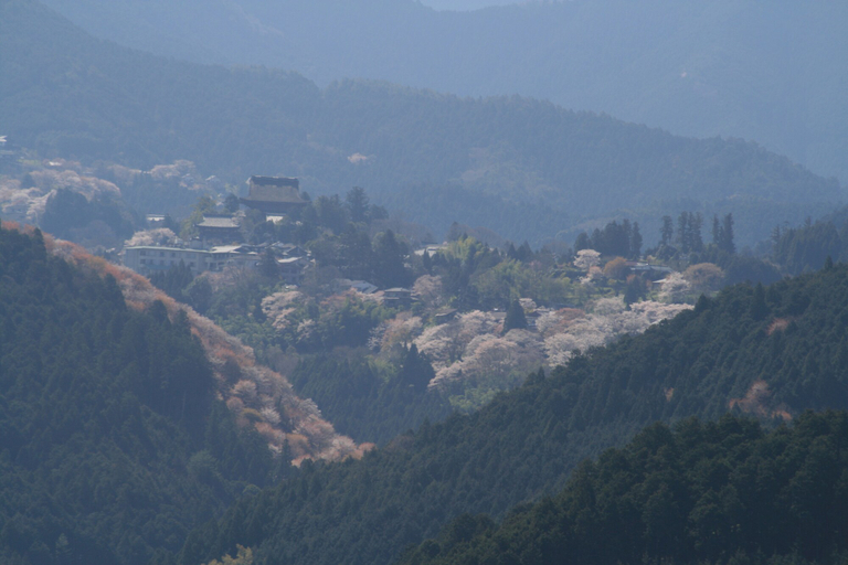 Others 5, Houtouji Temple, Ōyodo