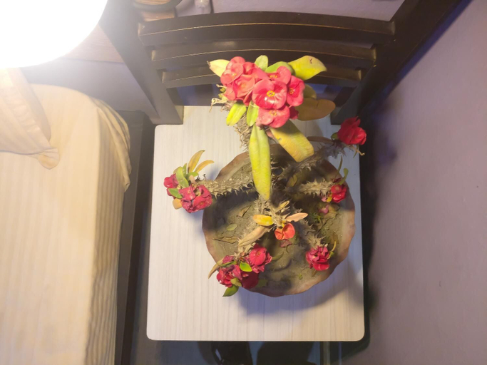 Bedroom 3, Sun Apartment & Guest House, Bagmati
