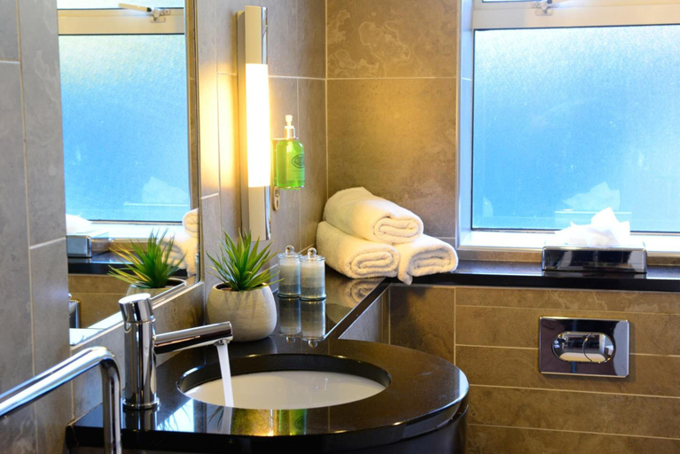 Bathroom 4, Treacy's Hotel