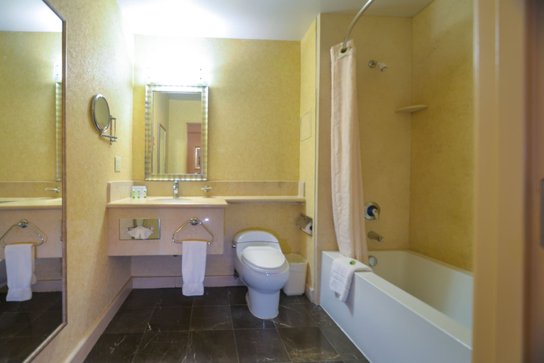 Bathroom 4, Porto Vista Hotel Downtown, San Diego