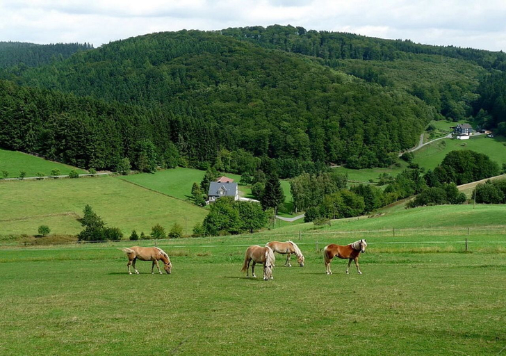 Others 5, Ferienhaus & Nurdachhaus Rothaargebirge, Siegen-Wittgenstein