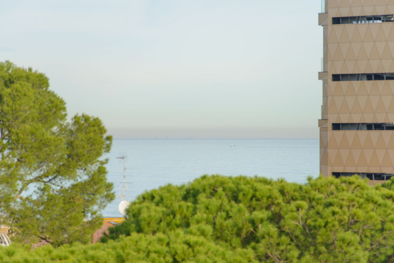 Exterior & Views 2, Palace Hotel Domus Mea, Rimini