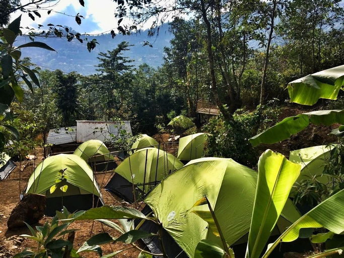 Exterior & Views 3, Camp David Kigwema, Kohima