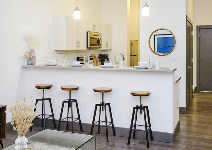 Food & Drinks, Luxury Building 3BR/2BA! Prime Downtown Mass Ave!, Indianapolis
