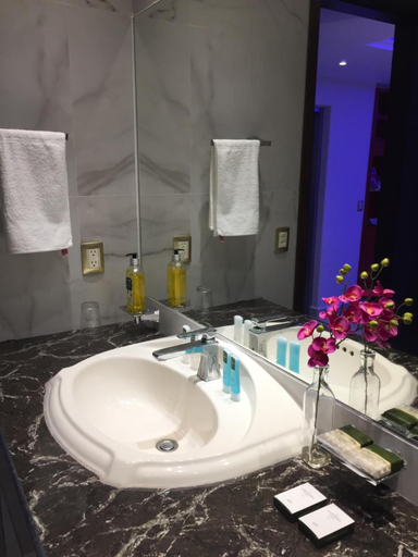 Bathroom 4, Hotel Nilo, Acapulco de Juárez