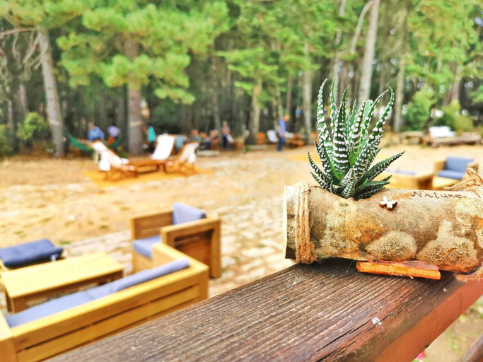 Food & Drinks 5, Vallicciola Nature Hotel, Olbia-Tempio