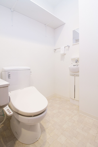 Bathroom 3, Marumasa 301, Hiroshima