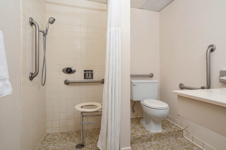 Bathroom 4, Albert Lea Inn and Suites, Freeborn