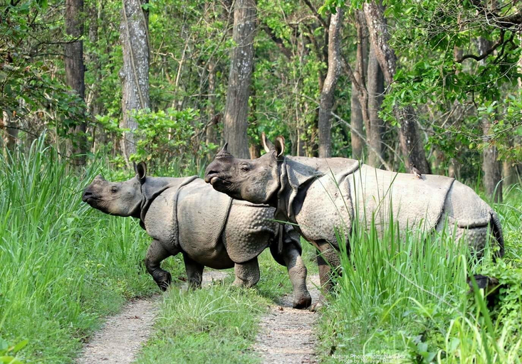 Point of interest, Kingfisher Jungle Trekking Tour, Narayani