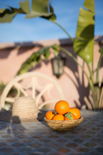 Food & Drinks 5, Riad Assala, Marrakech