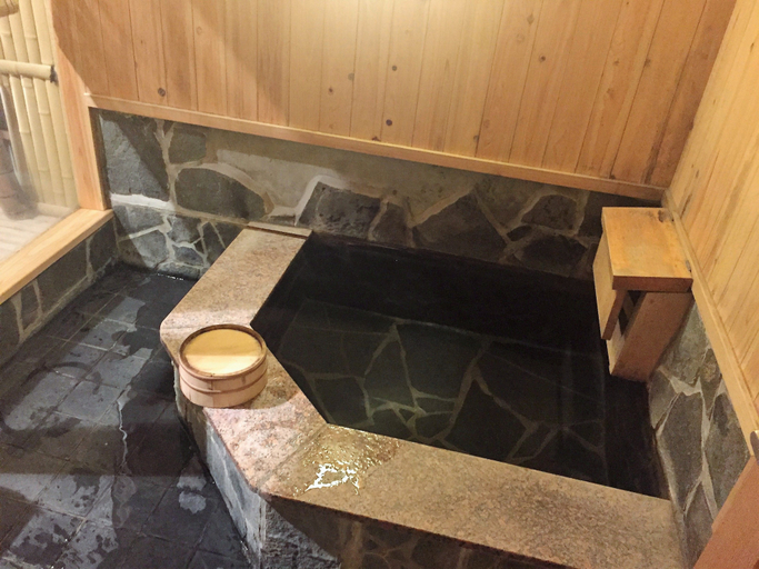 Bathroom 4, Good Stay Mizuho, Usa