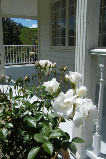 Others 3, Foxgloves Bed and Breakfast, Waikato