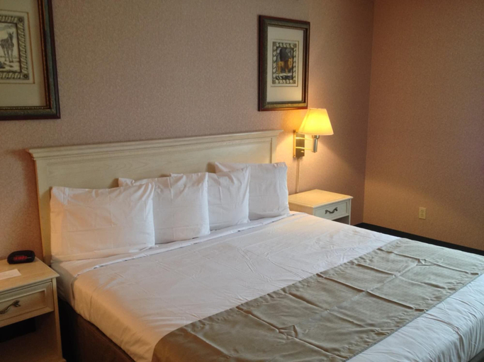 Bedroom 2, Parkside Inn Bridgeview, Emmet