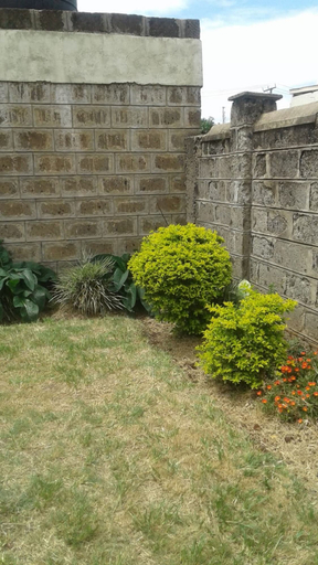 Others 4, Maria's House, Starehe