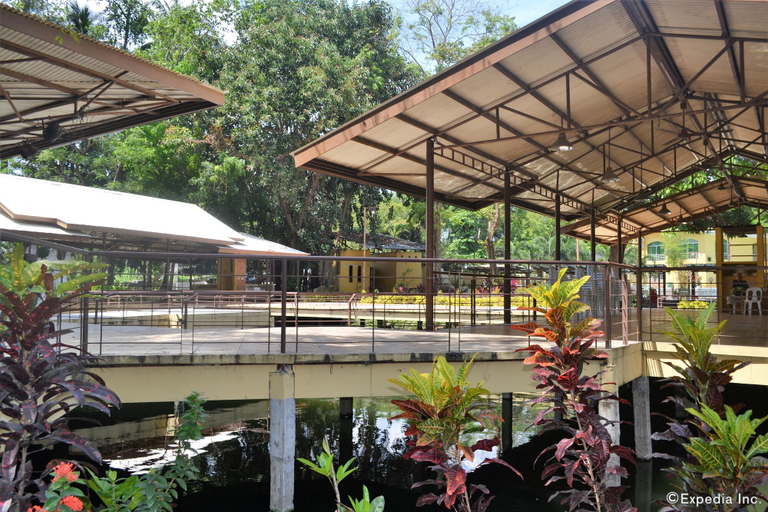 Food & Drinks 5, Amandari Cove, General Santos City