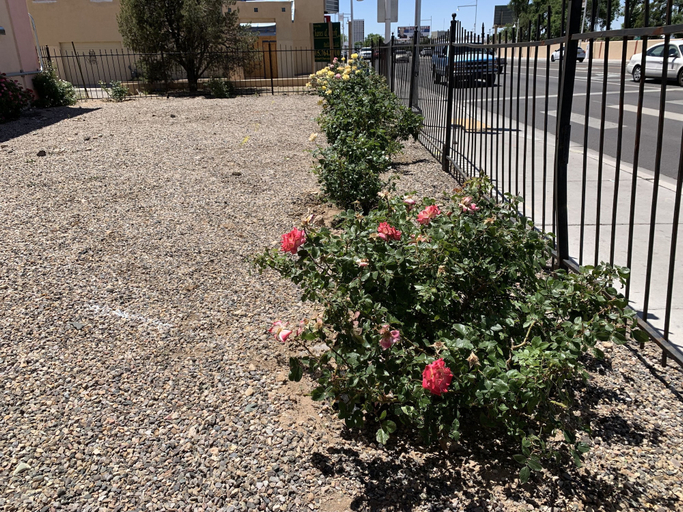 Others 5, Luxury Inn, Bernalillo