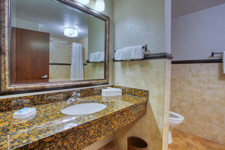 Bathroom 4, Drury Inn & Suites Near La Cantera Parkway, Bexar