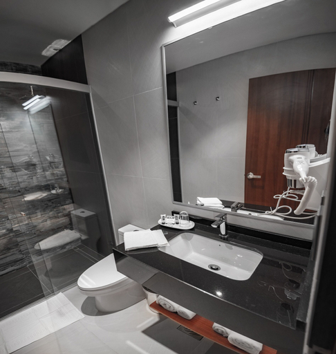 Bathroom 4, Mitru Express, Pedro Domingo Murillo