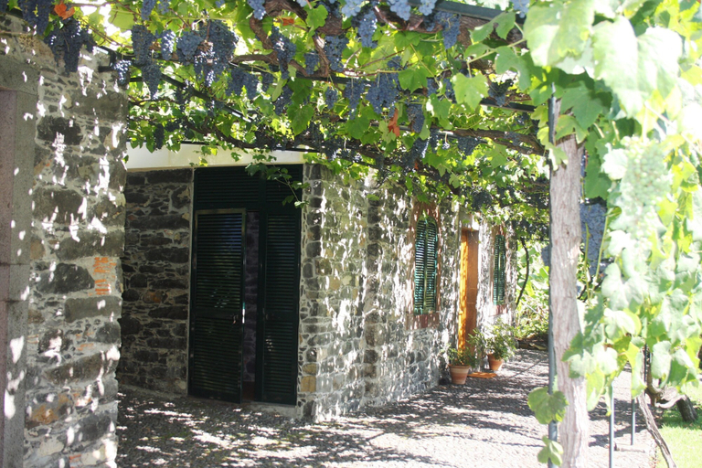 Exterior & Views, Loja da Lenha, Funchal