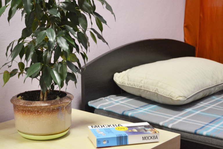 Bedroom 3, Hostel Aviator, Central