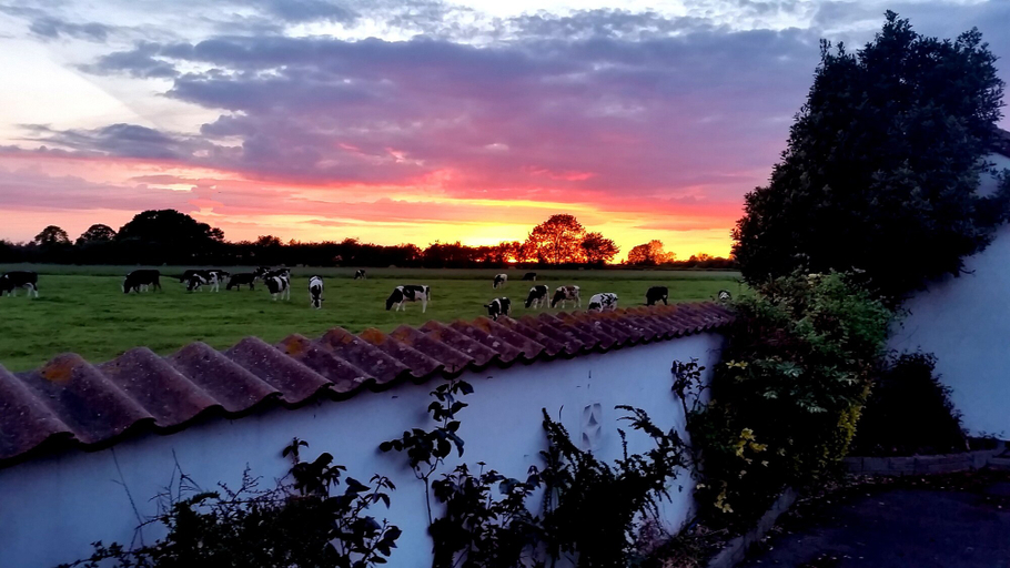 Sport & Beauty, Milton's Country Lodge, North Somerset