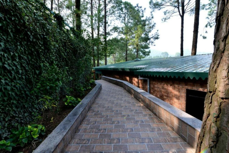 Exterior & Views 2, Kasauli Hills Resort, Solan