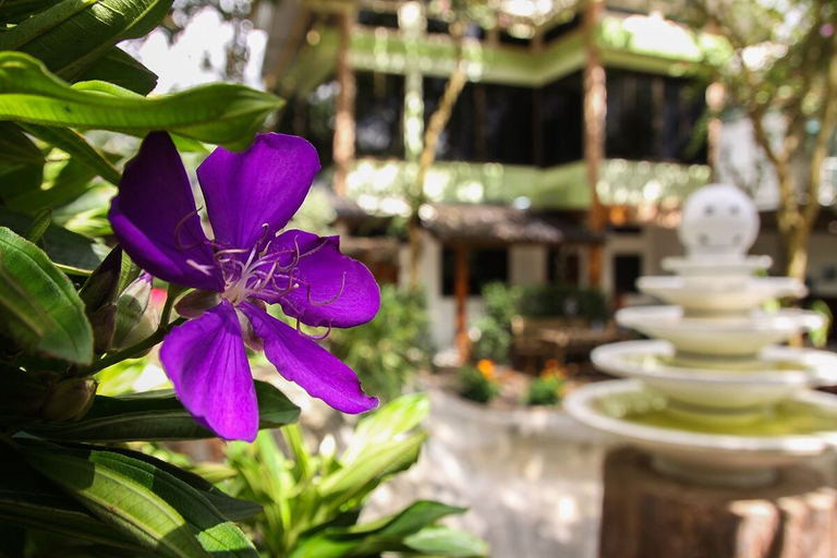 Others 5, Rao Ga Khao Resort, Pak Chong