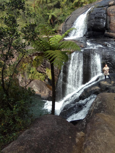 Others 4, Rio Home stay, Haputale